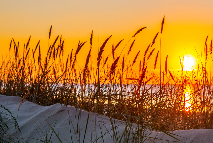 SOMAEpas à pas, allons vers le chemin du mieux-être